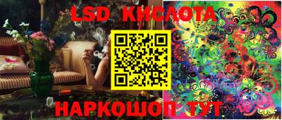 прущие крисы Кингисепп