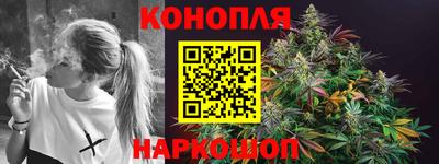 прущие крисы Кингисепп