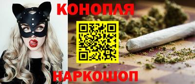 прущие крисы Кингисепп