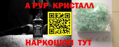 прущие крисы Кингисепп