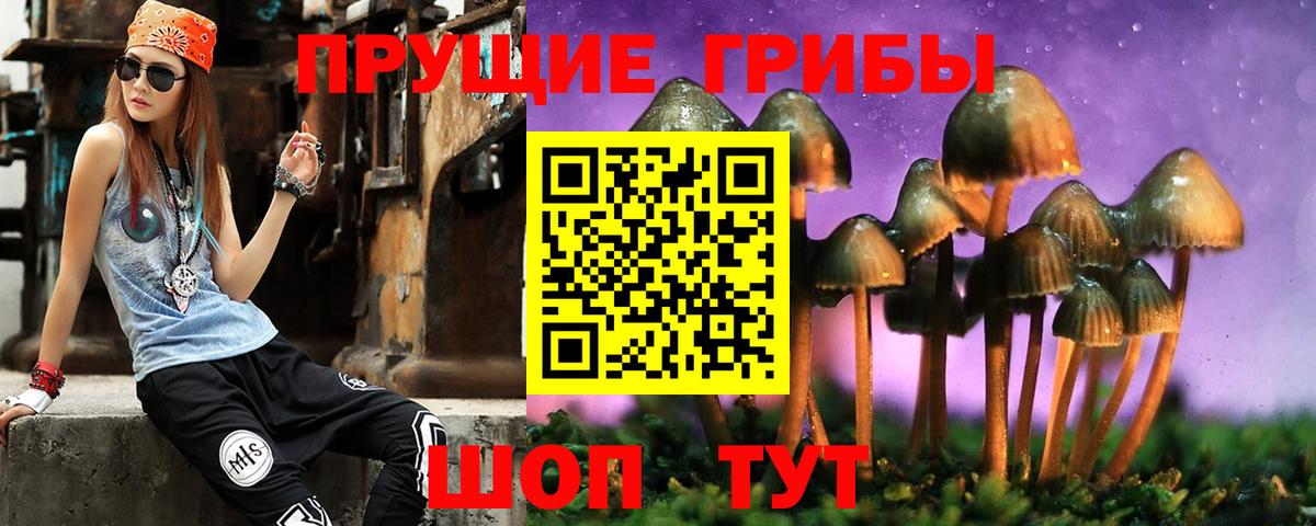 Псилоцибиновые грибы Psilocybe Лабинск